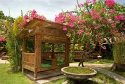 Pondok Sari Dive Resort - Bali. Gardens.